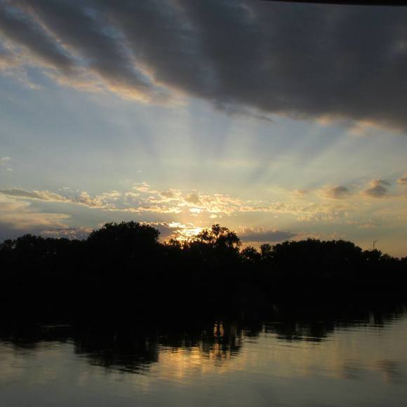 Meet your Posher, Jennifer - Picture 1 of 1